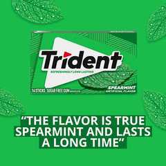 Spearmint Sugar-Free Chewing Gum, 12 Packs of 14 Pieces (168 Total Pieces)