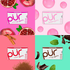 PUR Gum Aspartame Free Chewing Gum Variety Pack 9 Pieces Pack of 8 Xylitol