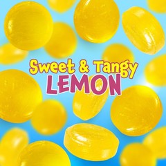 Sugar Free Lemon Drops, Candy – 1 1 Pound (Pack of 1), Orange,Lime