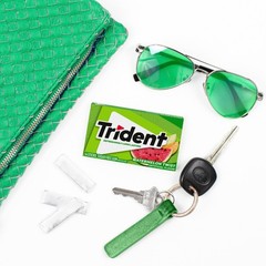 Trident Watermelon Twist Sugar Free Gum, 12 14 Count (Pack of 12), Melon