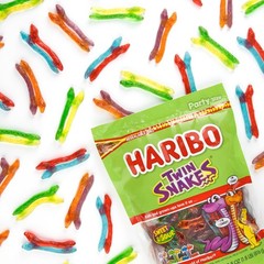 Twin Snakes Gummies Original Sweet & Sour Assorted Fruit Flavor Gummy Candy 28.8