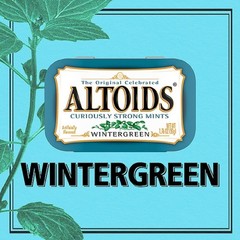 Altoids Wintergreen Candy, 1.76-Ounce Tins (Pack of 12)