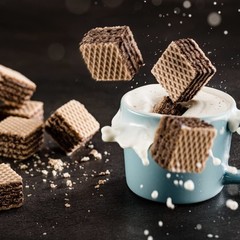 Loacker Dark Chocolate Wafer Cookies – 8.82 Ounce (Pack of 1),