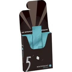 5 Gum Wintermint Ascent Sugarfree Gum, 15 Pieces (20 Packs)