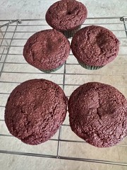 Keto Chocolate Chocolate Chip Muffins * gluten free * diabetic safe