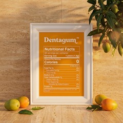 Dentagum Remineralizing Gum with Nano-Hydroxyapatite & Xylitol – SugarFree Co…