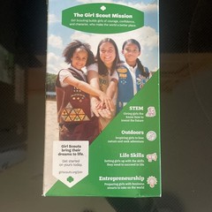 Girl Scouts Thin Mints Cookies – Pack of 32