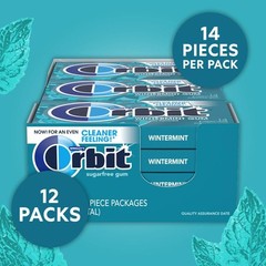 Orbit Wintermint Sugar Free Chewing Gum Pack of 168 Fresh Breath Confidence