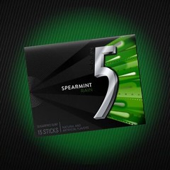 5 GUM Spearmint-Rain Flavoured Sugar Free Chewing Gum 15 Sticks 10 Packs