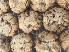 12 Chocolate Chip Cookies Fresh-Baked & Homemade