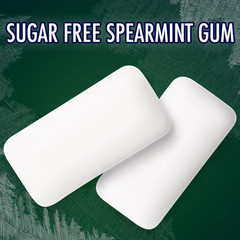 Spearmint Chewing Gum Sugar Free, Mint Gum Bulk Pack, 8.8 Ounce (180 Piece Bag)