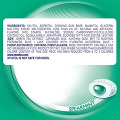 Pure Fresh Sugar-Free Spearmint Gum in Recyclable Bottle – Perfect for All Ages