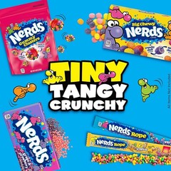 Nerds Candy, Grape & Strawberry Flavor, 5 Ounce Movie Theater Candy Boxes…
