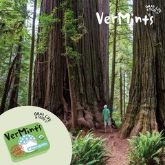 VerMints Organic Breath Mints Wintergreen Travel Tin 1.41oz Pack of 6