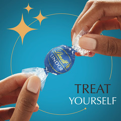 Lindt Lindor Sea Salt Milk Chocolate Candy Truffles, 5.1 oz. Bag – Free Shipping