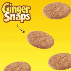 Ginger Snaps Cookies, Ginger Cookies, 16 oz
