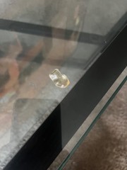Rare limited edition gold mini Haribo gummy bear pineapple flavored.