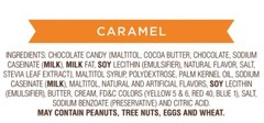 RUSSELL STOVER SUGAR FREE – CARAMEL CHOCOLATE CANDY BULK BAG VALUE PRICE!!!