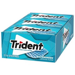 Trident Wintergreen Sugar Free Gum, 12 Packs of 14 Pieces (168 Total Pieces)