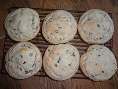 HUGE HOMEMADE HALF POUND CHOCOLATE CHIP COOKIES (CHOICE OF QUANTITY)