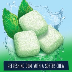 Refreshers Spearmint Chewing Gum, 40 Pieces (Pack of 6)