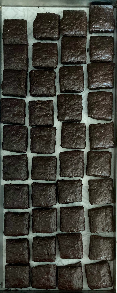 Freeze Dried Coconut Fudge Squares 9oz Bag, Organic, Paleo, Crunchy, Delightful!