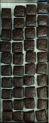 Freeze Dried Coconut Fudge Squares 9oz Bag, Organic, Paleo, Crunchy, Delightful!