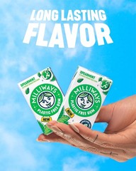 Sugar-Free Spearmint Chewing Gum | Xylitol, Plant-Based, Plastic-Free | 40