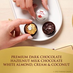 Ferrero Collection Assorted Chocolates 48 Count Gourmet Gift Box