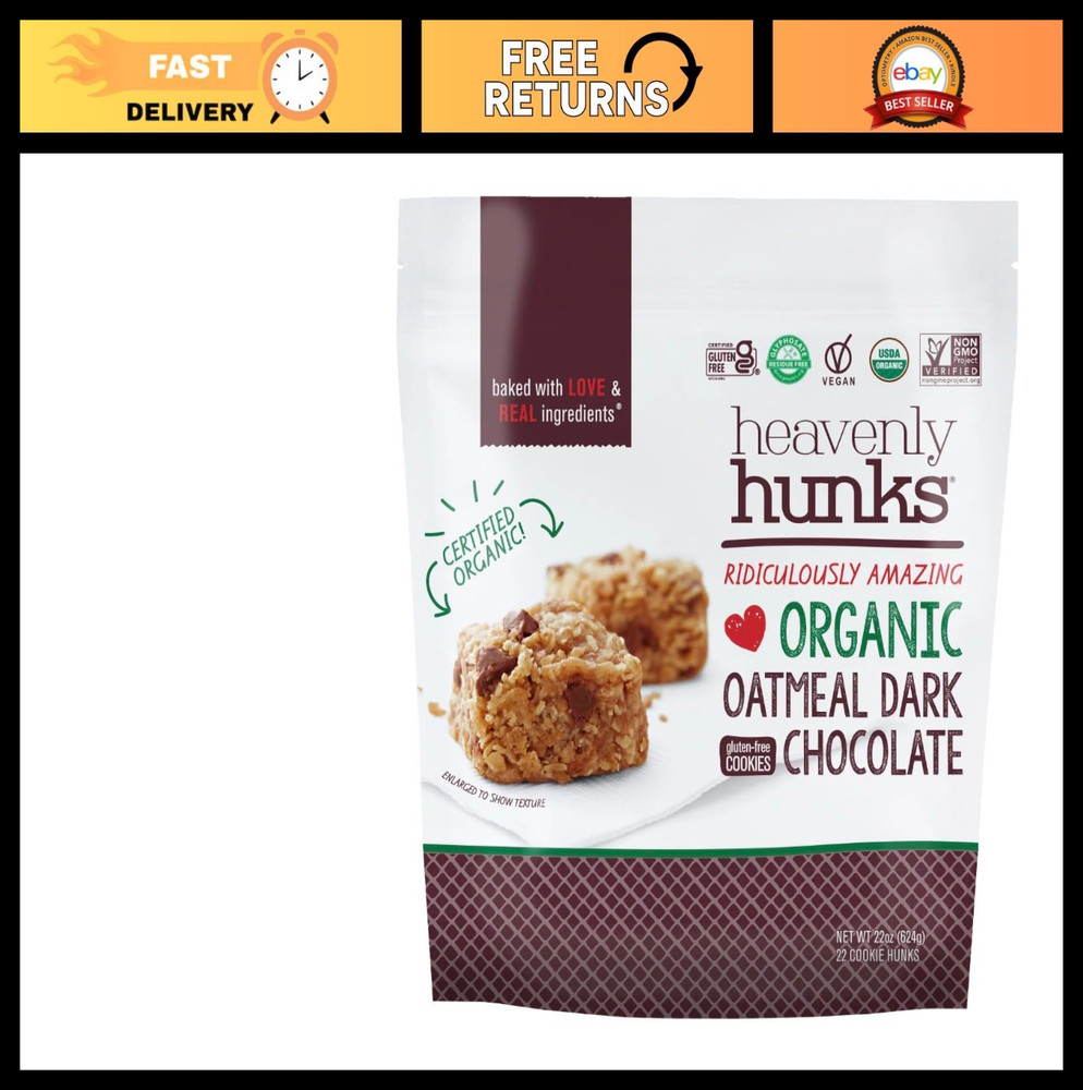 Organic Gluten-Free Vegan Dark Chocolate Oatmeal Cookies – 22oz Big Bag Treats