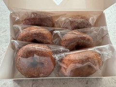 Apple Cider Donuts * Cinnamon Apple Cider Donuts * Fall Favorite *