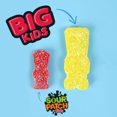 Candy Bulk Assorted Flavors 240 Count Soft Chewy Fun Treats for Snacking