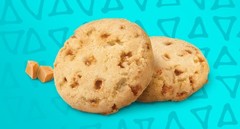 2026 Girl Scout Cookies all varieties Thin mint Samoas Tagalong Exploremore New