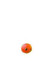 Bergen Marzipan Assorted Fruit Candy 8 oz Box – Gourmet Almond Paste Fruit Sh…