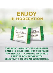 RUSSELL STOVER Sugar Free Assorted Chocolate Candy 15.7 oz bag