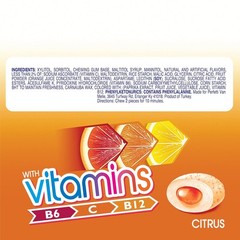 Mentos Gum Sugar Free Chewing Gum with Xylitol, Citrus Flavor, 6 Bottle