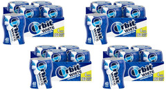 Gum White Peppermint Sugar Free Chewing Gum Bulk Pack, 40 Piece Bottle (Pack of