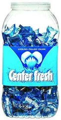 Center Fresh Chewing Gum Spearmint 50 Pieces Mouth Freshener Fresh Breath