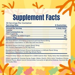 TrueSeaMoss Gummies Sample – 1200mg Irish Sea Moss + 14 Count (Pack of 1)