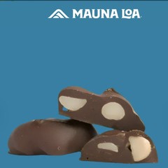 FIVE (5) Boxes Mauna Loa Milk Chocolate Covered Macadamia Nuts Hawaii ALOHA