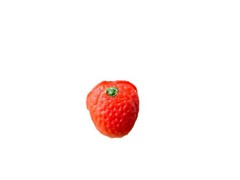 Bergen Marzipan Assorted Fruit Candy 8 oz Box – Gourmet Almond Paste Fruit Sh…