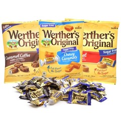 Sugar Free Werther’s Assortment, Soft and Hard Caramels 16.3 x 4.9 x 16.7 cm