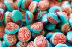 Gummies Soft Gummy Candies Brains Shape Premium FREE SHIP