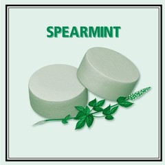 Spearmint Mints 1.76oz 12 Pack – Pocket-Size Tin