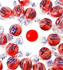 SweetGourmet Sugar-Free Cinnamon Hard Candy | Individually Wrapped |