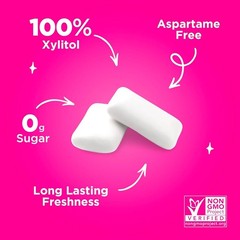PUR Gum | Aspartame Free Chewing Gum | 100% Xylitol | 55 Pieces (Pack of 3)