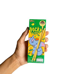 10x 25 g Glico Pocky MANGO Flavor Coating