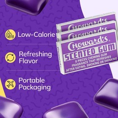 Choward’s Scented Gum | Bold Aromatic Refreshing 24 Count (Pack of 1), Purple